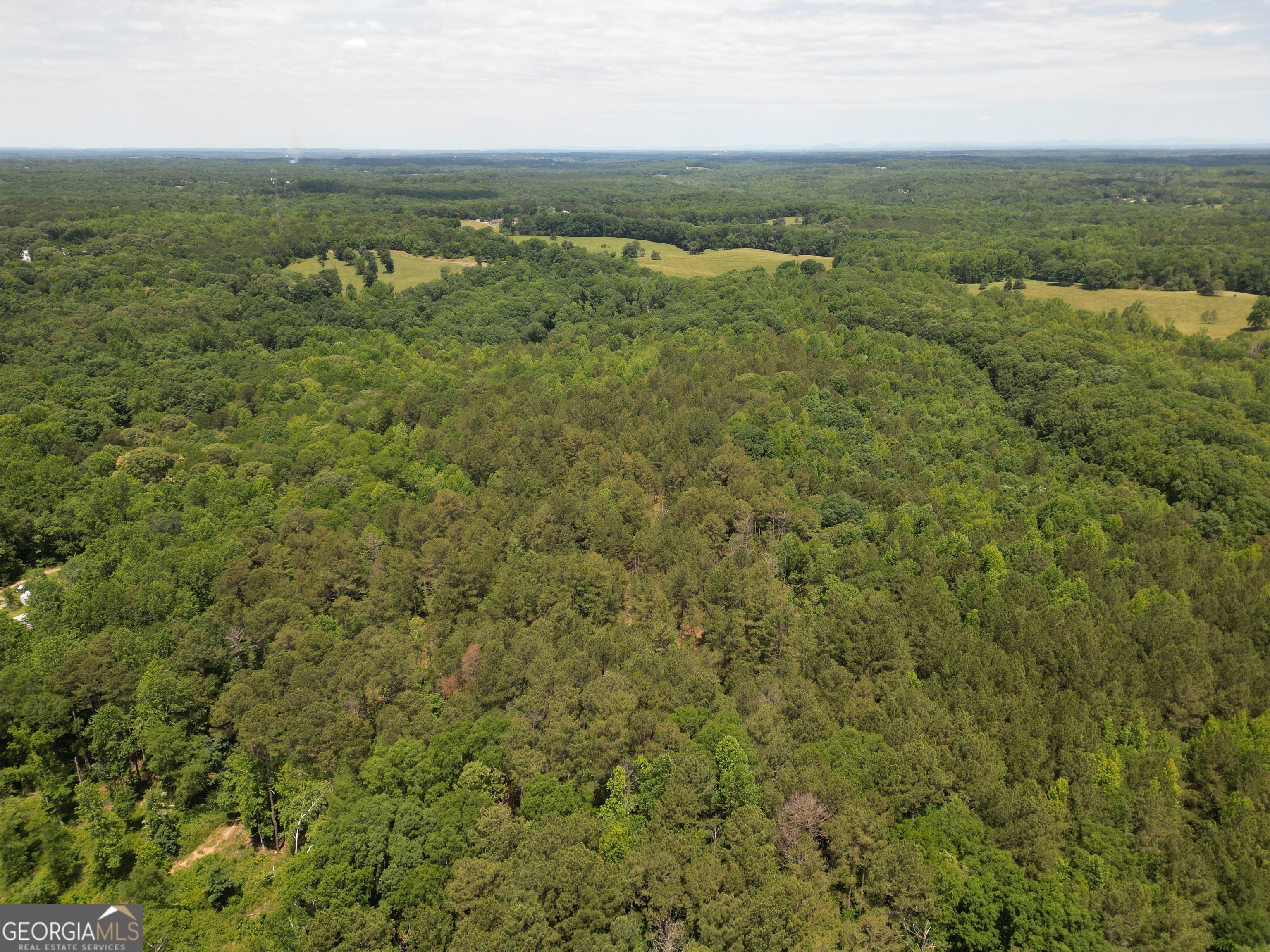 0 Harrison Johnson Road Jefferson, GA 30549 - Photo 10 of 12