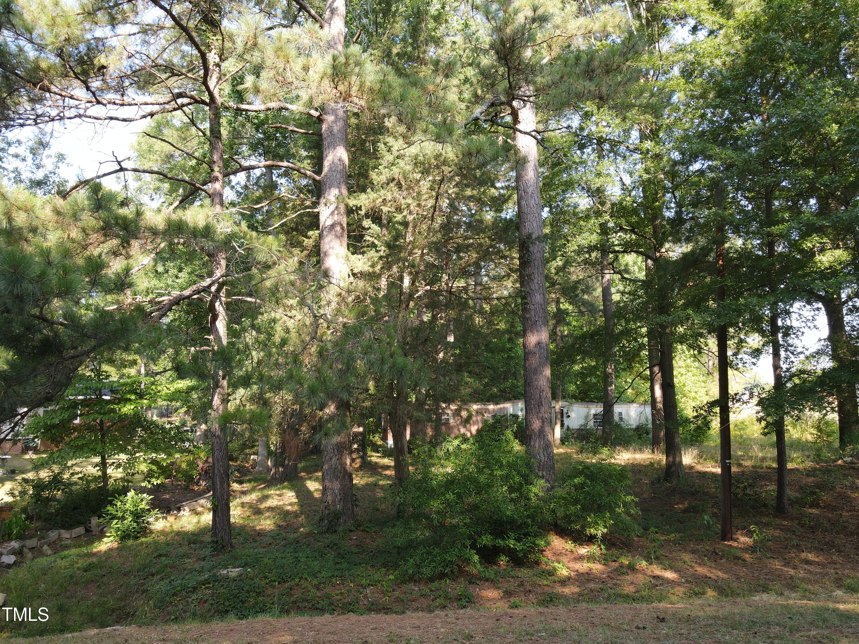 4017 Lizard Lick Road Wendell, NC 27591 - Photo 2 of 15 Lizard Lick Rd. 2
