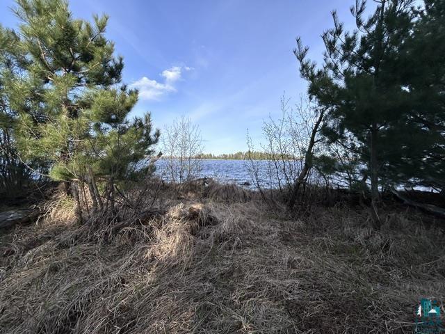 Tbd Tbd Moonlit Island Makinen, MN 55763 - Photo 19 of 23