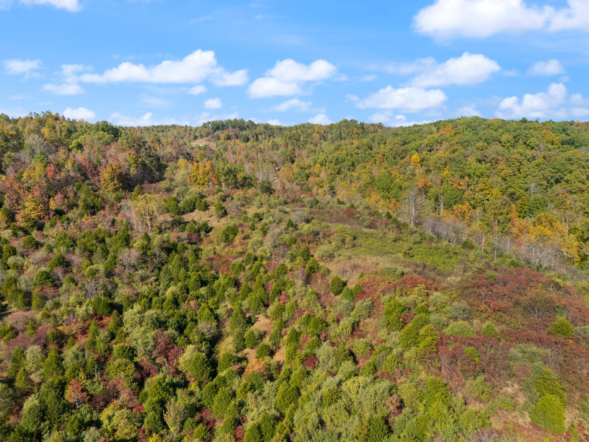 27 All Horn Branch Road Denton, KY 41132 - Photo 55 of 60 64-web-or-mls-DJI_20241018151054_0300_D