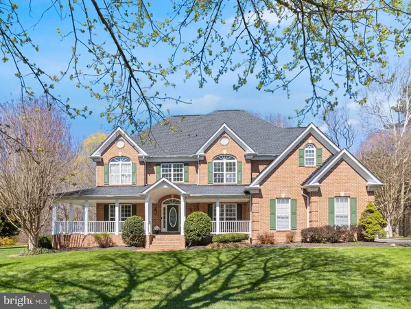 a view of a park with bench and trees