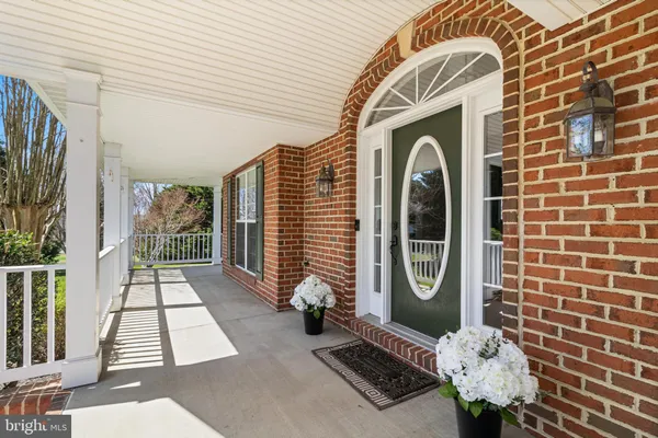 a view of a park with large trees