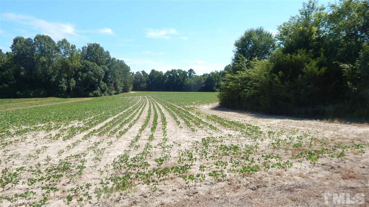 0 Marshburn Road Wendell, NC 27591 - Photo 12 of 16 Gallery Image 12