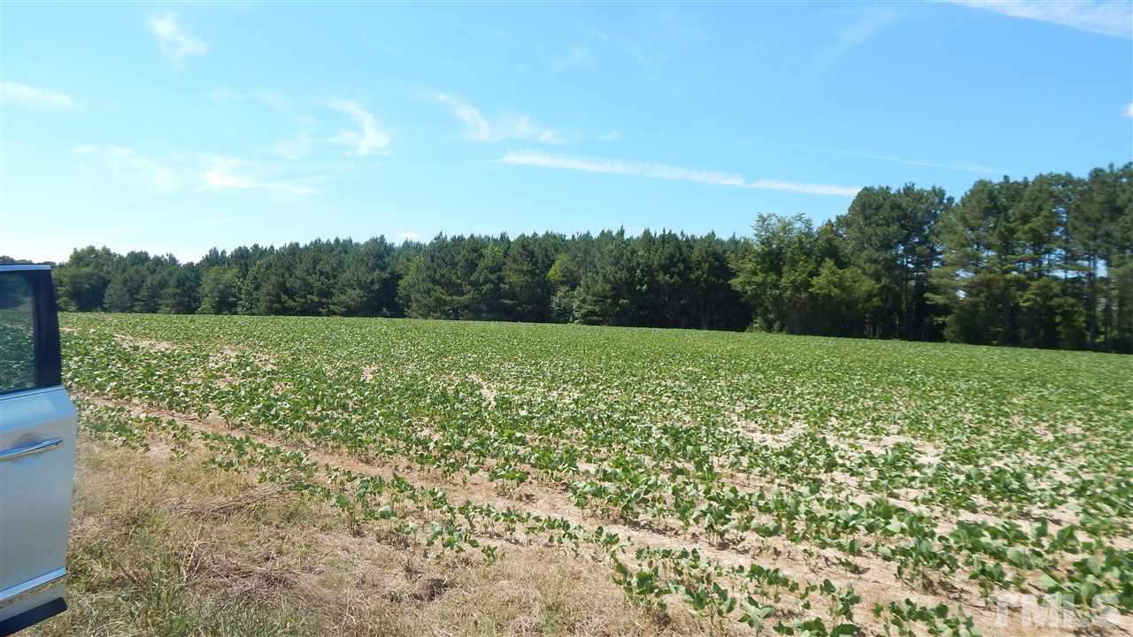 0 Marshburn Road Wendell, NC 27591 - Photo 13 of 16 Gallery Image 13