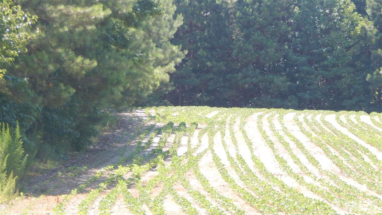 0 Marshburn Road Wendell, NC 27591 - Photo 15 of 16 Gallery Image 15