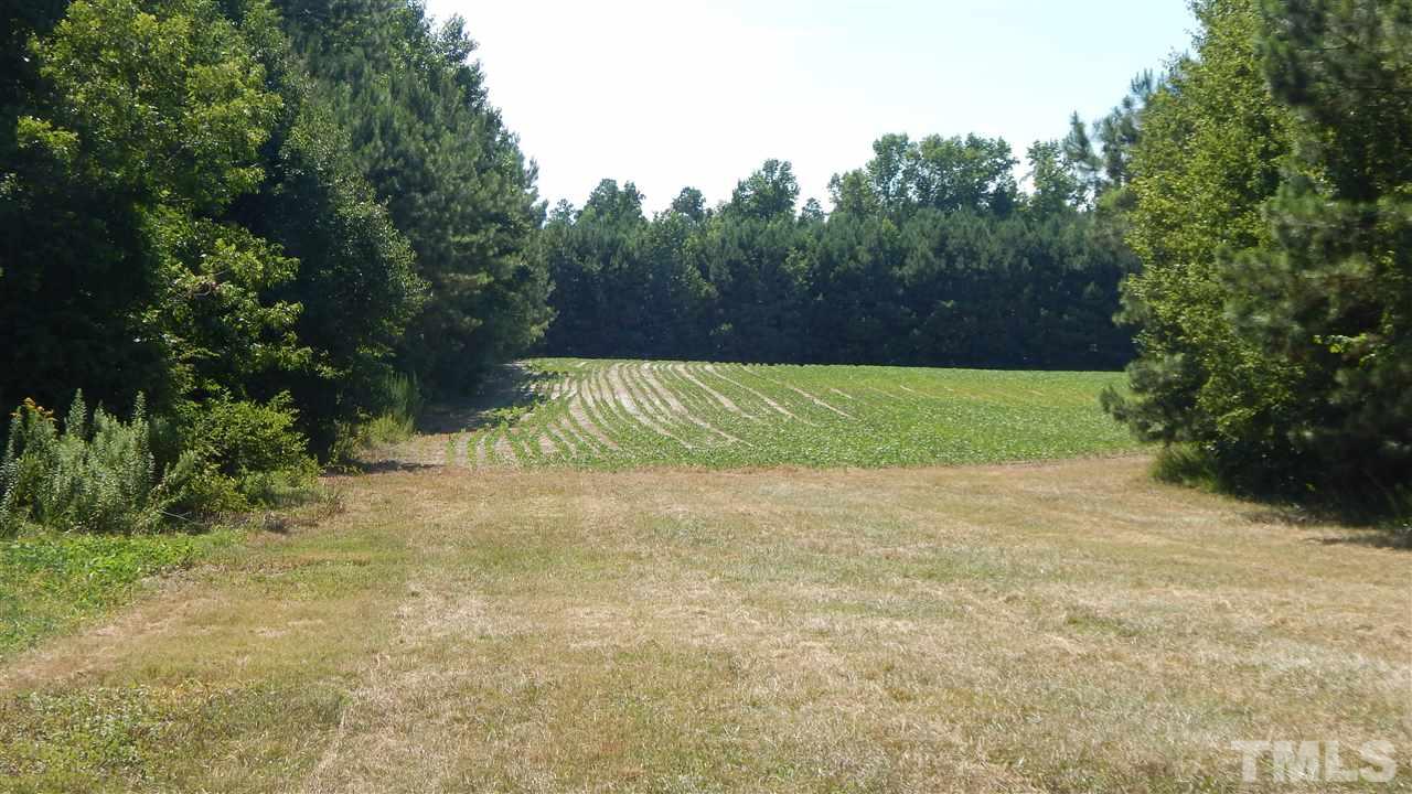 0 Marshburn Road Wendell, NC 27591 - Photo 5 of 16 Gallery Image 5