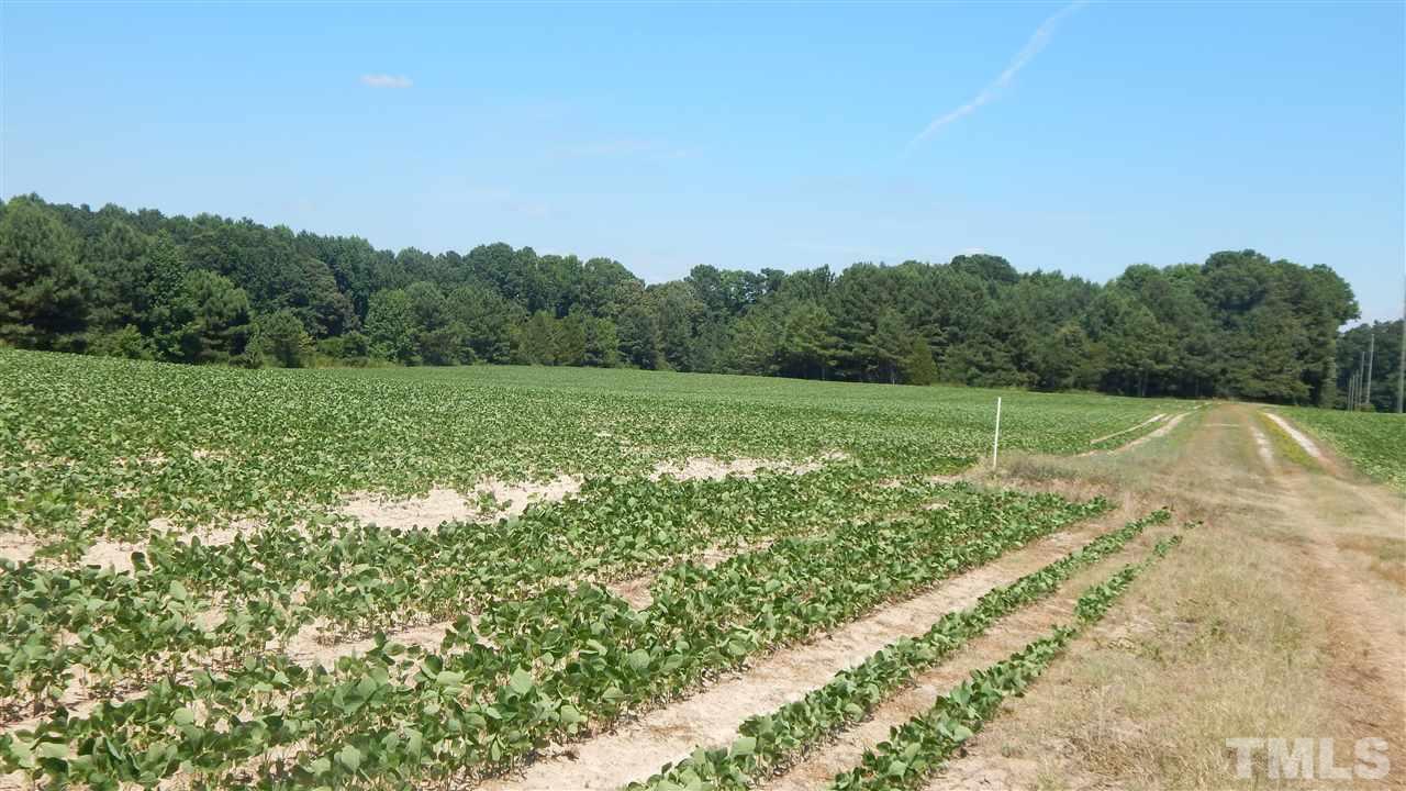 0 Marshburn Road Wendell, NC 27591 - Photo 10 of 16 Gallery Image 10