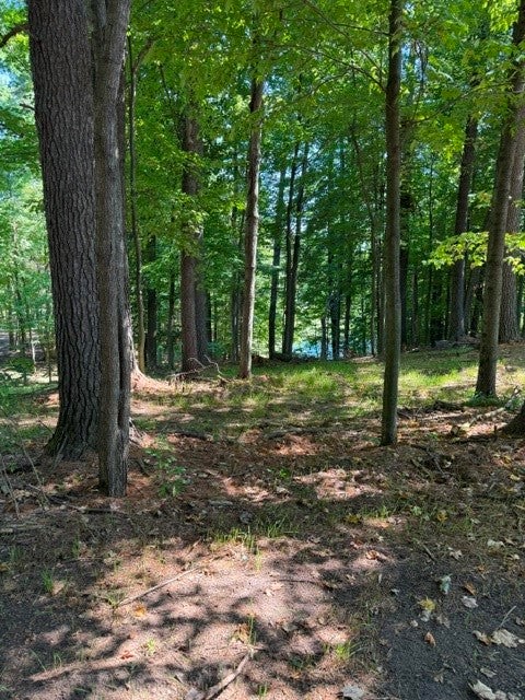 Lot 3 3/4 Street Chetek, WI 54728 - Photo 1 of 7 Gallery Image 1