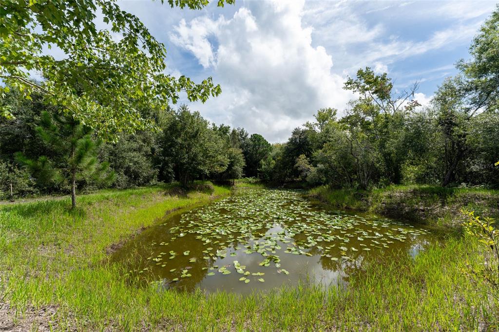 14150 Highland Road Wimauma, FL 33598 - Photo 60 of 70 Gallery Image 60