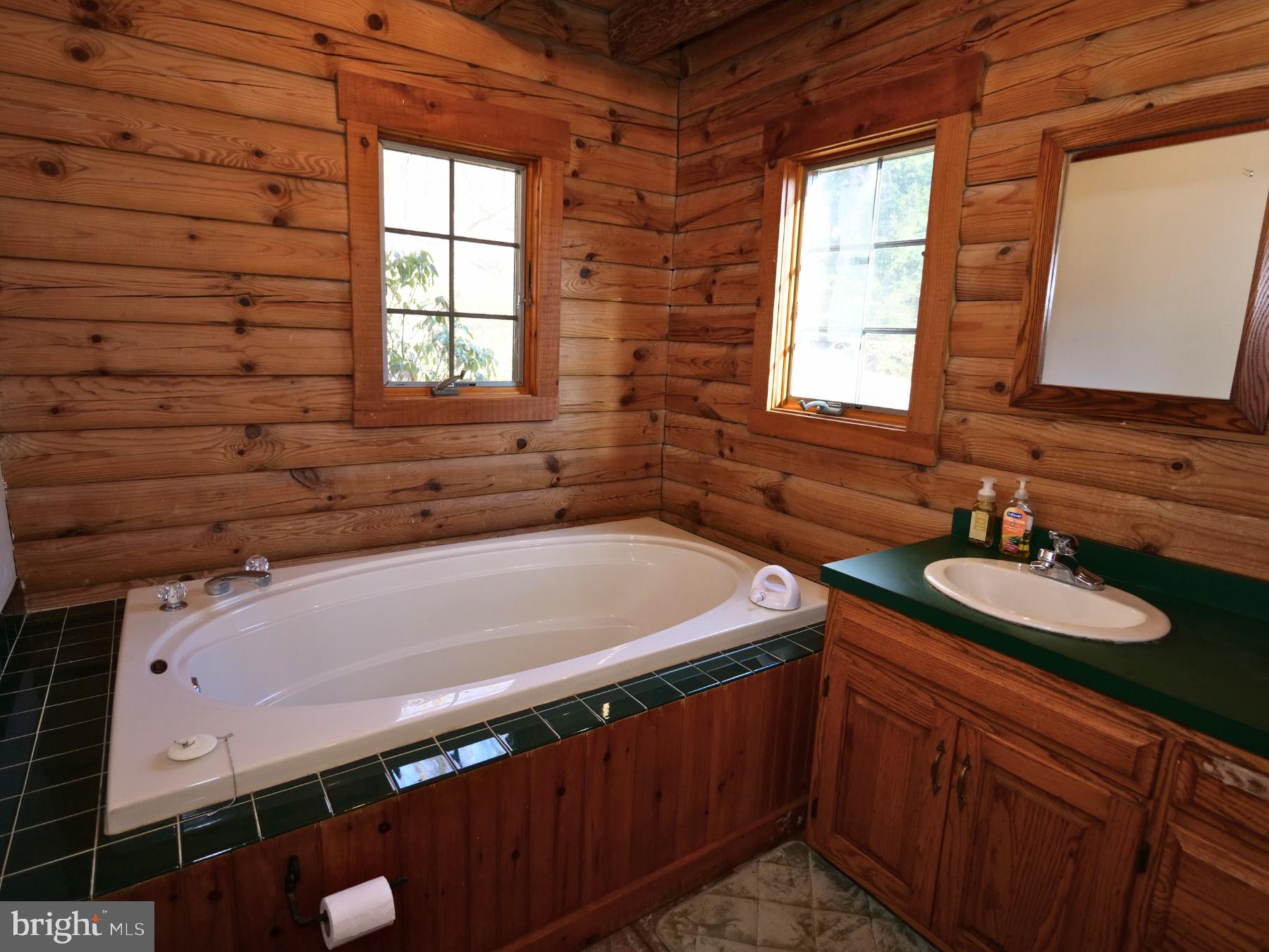 112 Sandy Hill Road Boyertown, PA 19512 - Photo 25 of 37 a bathroom with a sink and a bathtub