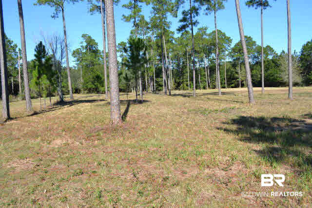 29409 Archie Road Elberta, AL 36530 - Photo 2 of 20 Homesite cleared