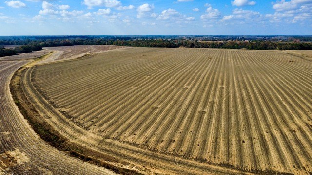 Undisclosed Address Headland, AL 36345 - Photo 10 of 36