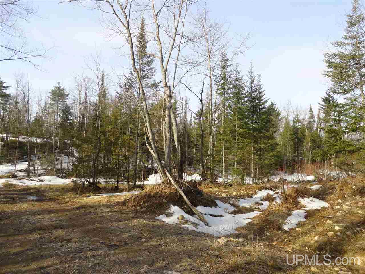 116-acres 116-acres Co Road Negaunee, MI 49866 - Photo 26 of 37