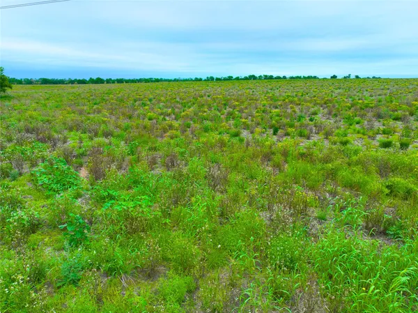a view of a field with an ocean view