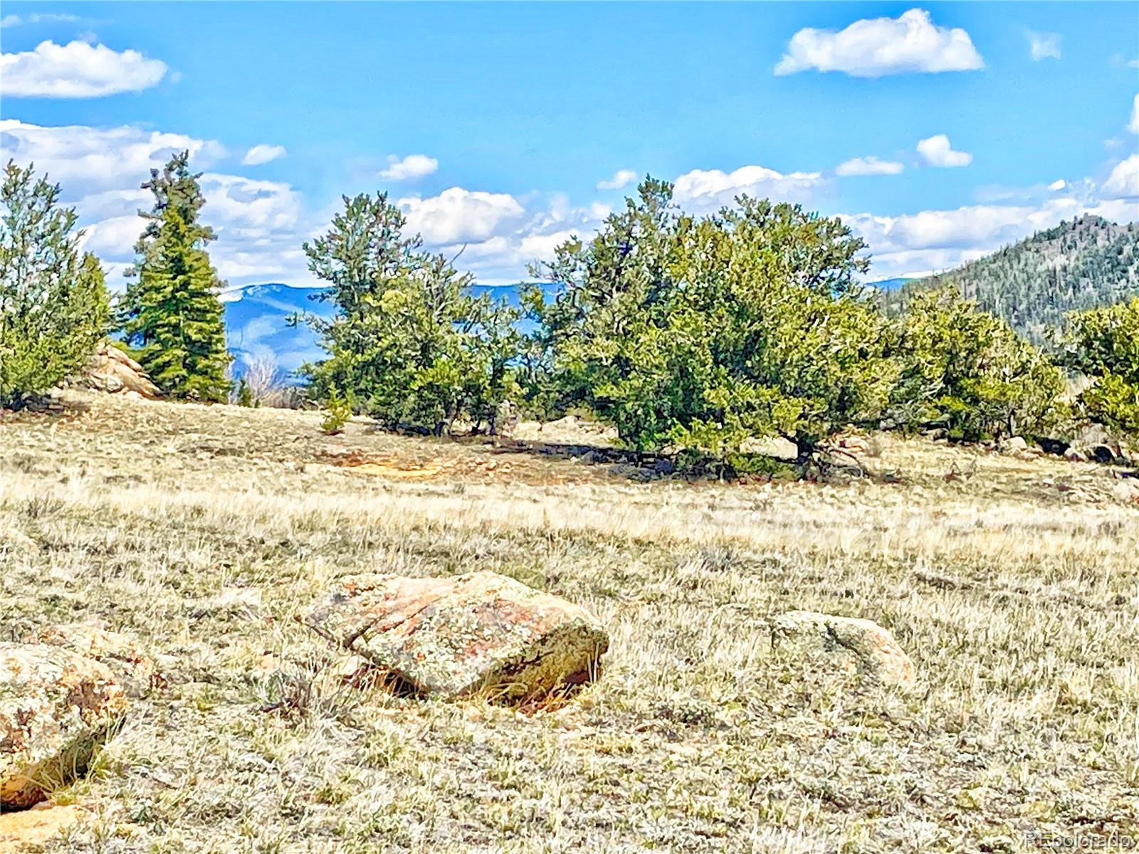 250 Buckhorn Road Como, CO 80456 - Photo 1 of 19 a view of a yard with an trees