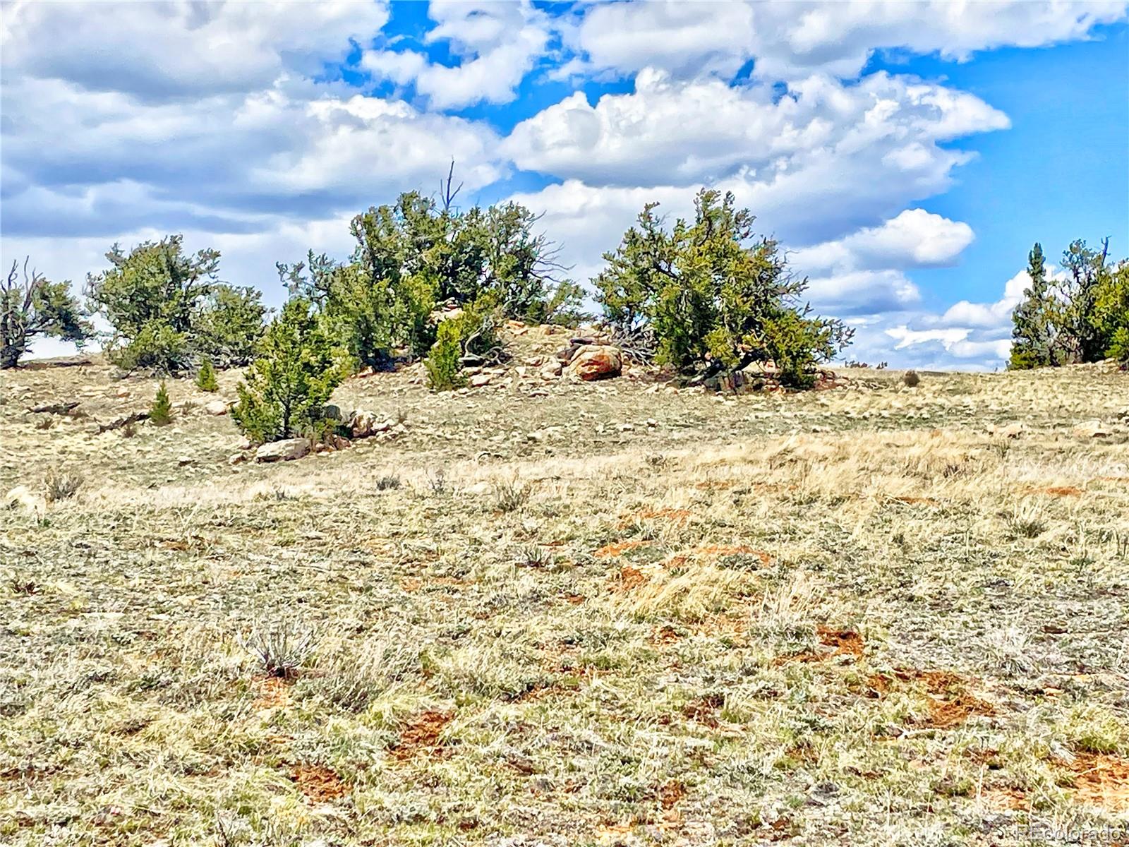 250 Buckhorn Road Como, CO 80456 - Photo 13 of 19 a view of a yard with an trees