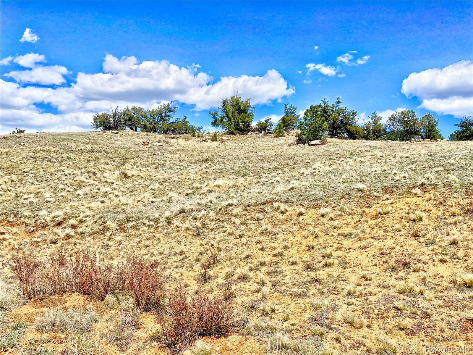 250 Buckhorn Road Como, CO 80456 - Photo 14 of 19 a view of a yard and an ocean view
