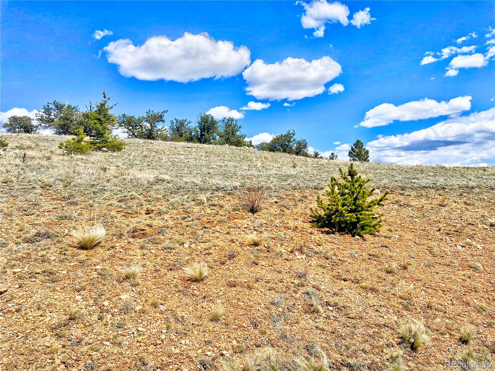 250 Buckhorn Road Como, CO 80456 - Photo 17 of 19 a view of a yard with an outdoor space