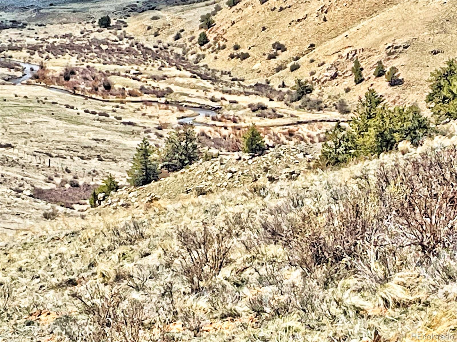 250 Buckhorn Road Como, CO 80456 - Photo 3 of 19 a view of a yard