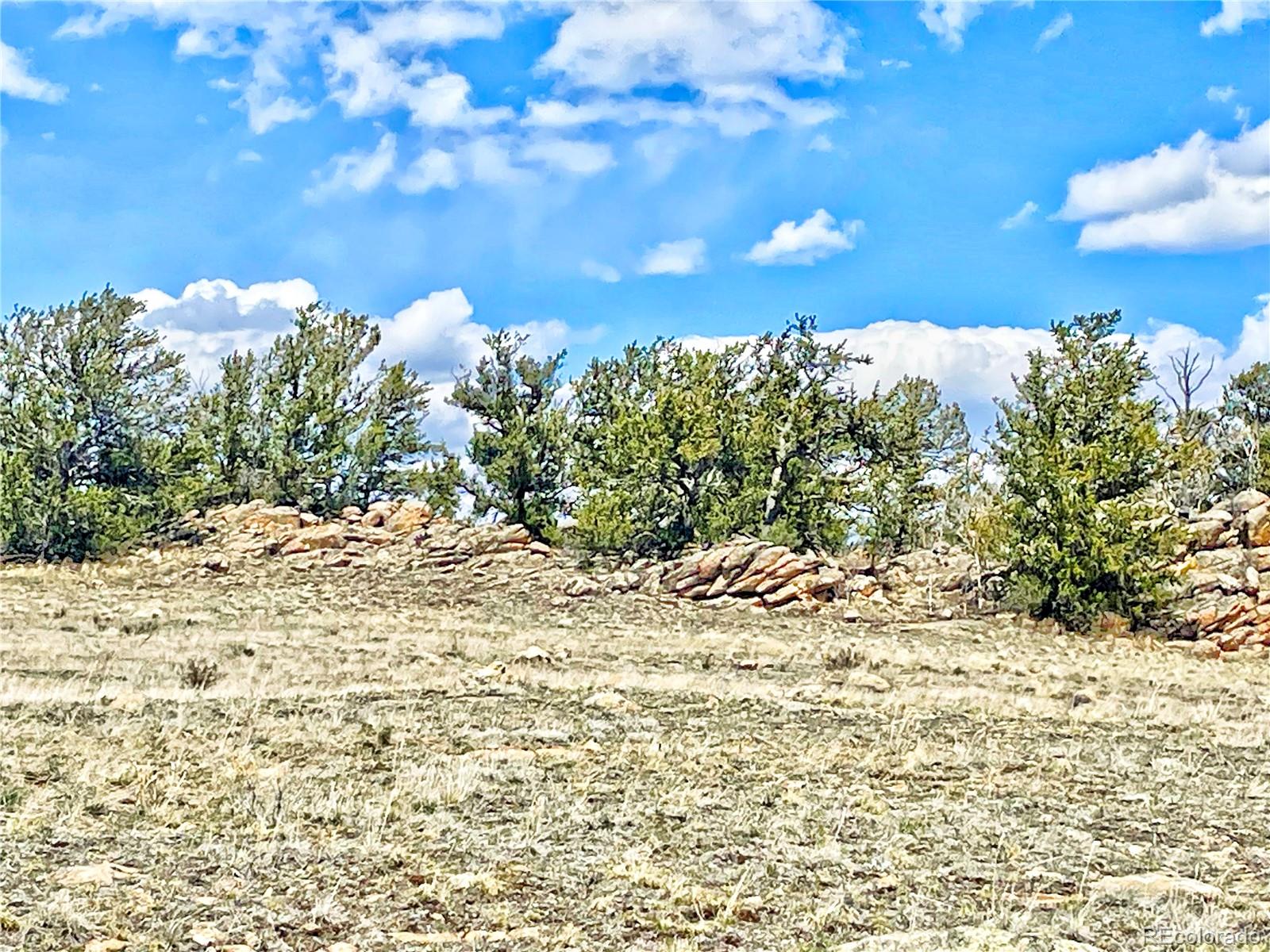 250 Buckhorn Road Como, CO 80456 - Photo 5 of 19 a view of a yard with mountain view