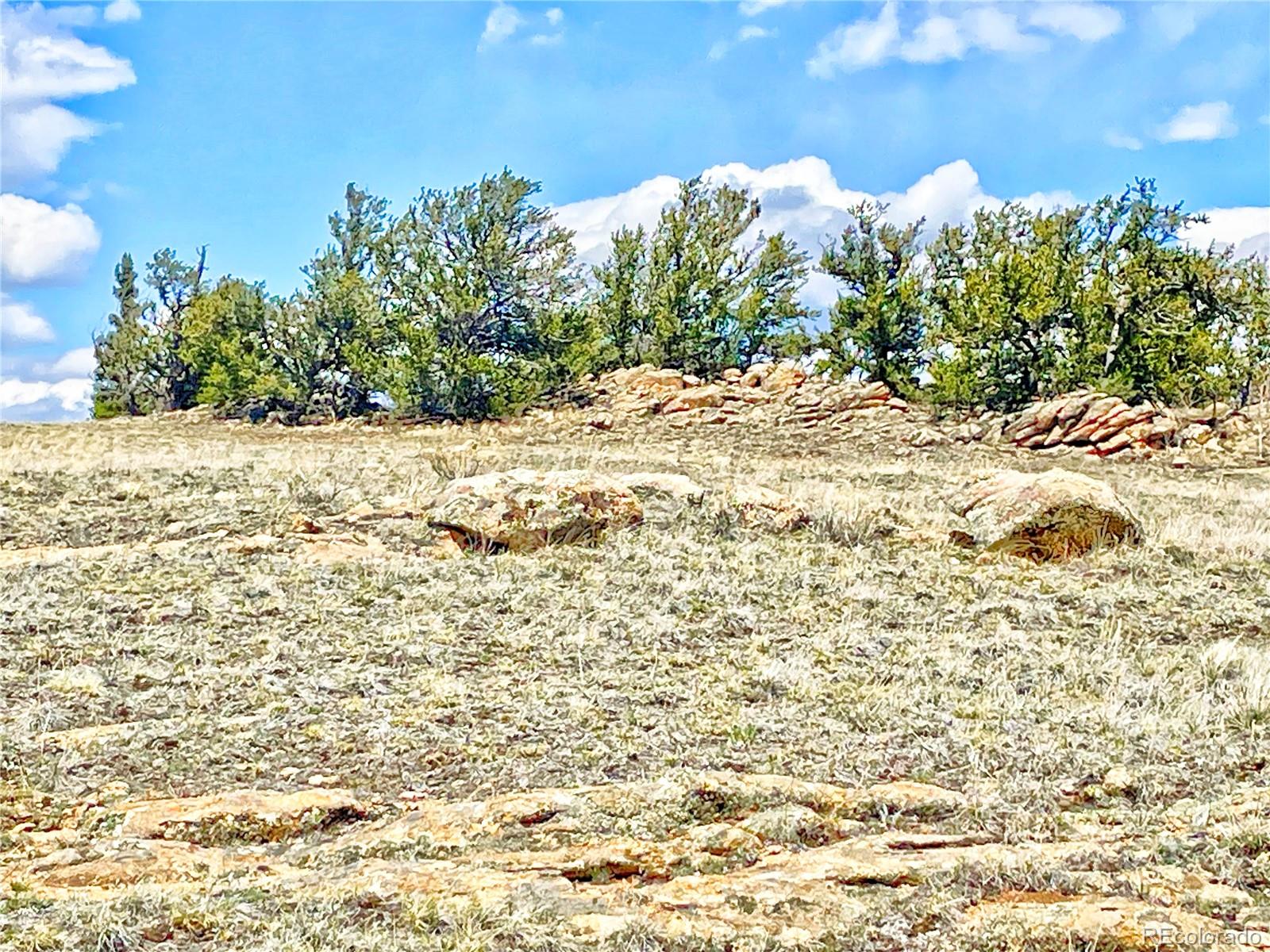 250 Buckhorn Road Como, CO 80456 - Photo 8 of 19 a view of a yard with a trees
