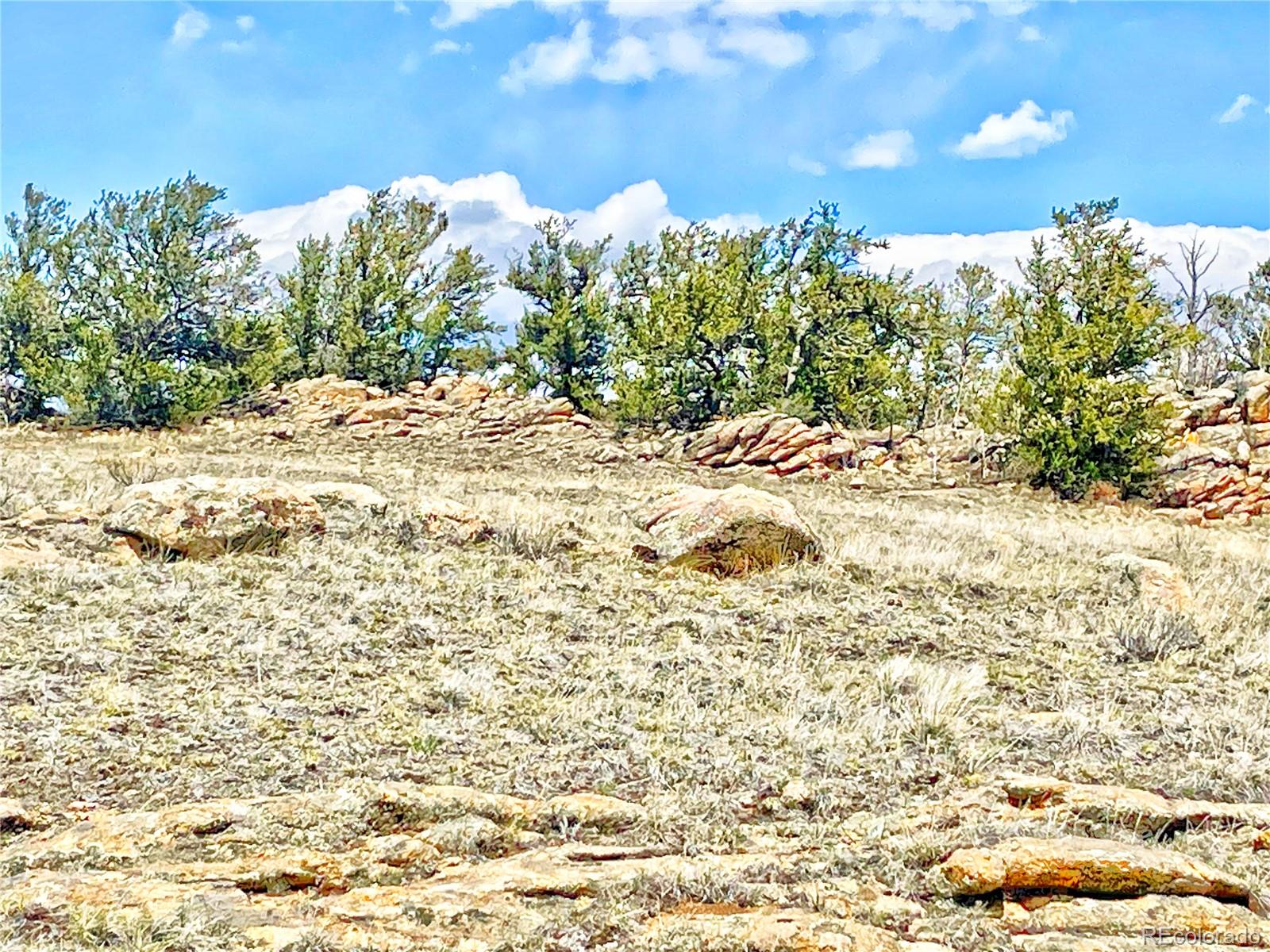 250 Buckhorn Road Como, CO 80456 - Photo 9 of 19 a view of a large yard with green space
