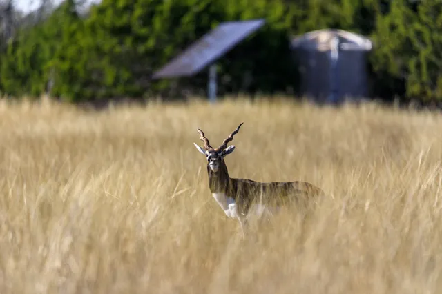 a close up of a tree in a kitchen