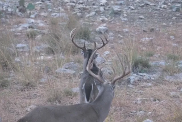 a view of house with yard and sitting area