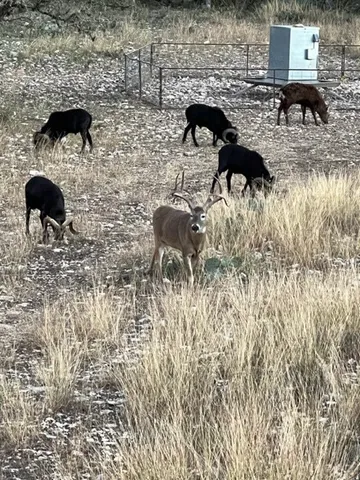 a view of a lake with a yard