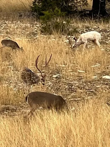 $5,299,000 | 3691 K2 Road, Leakey, TX 78873