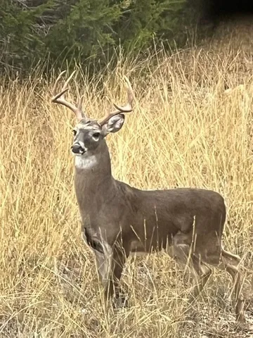 $5,299,000 | 3691 K2 Road, Leakey, TX 78873