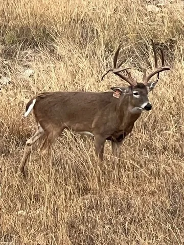 $5,299,000 | 3691 K2 Road, Leakey, TX 78873