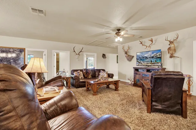 a living room with furniture ceiling fan and a rug