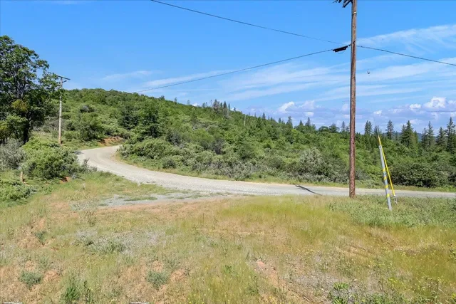 a view of a yard with a tree