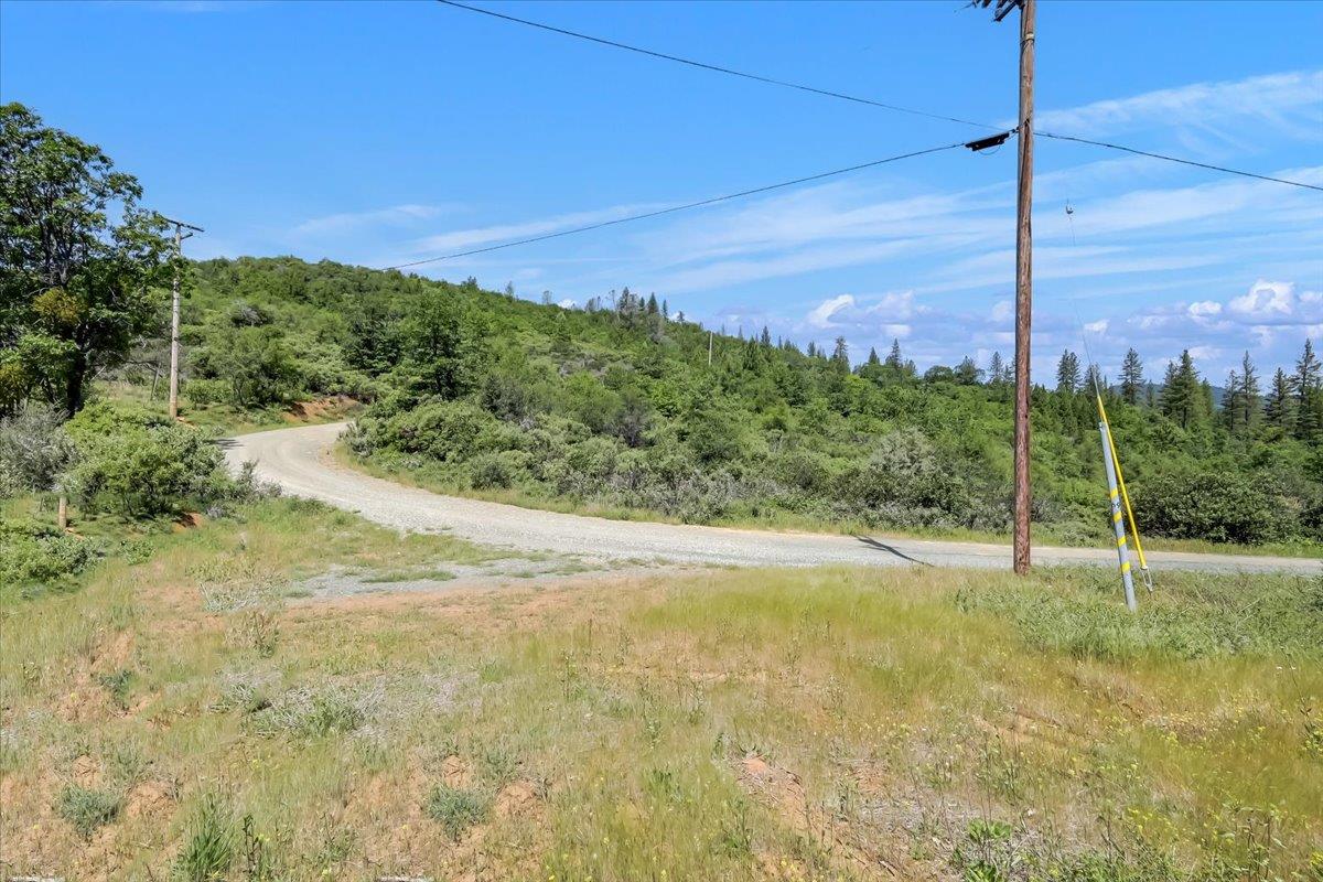 23 Clark Ranch Way Brownsville, CA 95919 - Photo 11 of 42 a view of a yard with a tree