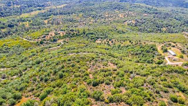 a view of a large yard with green field