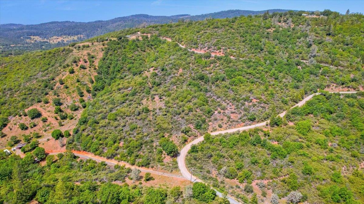 23 Clark Ranch Way Brownsville, CA 95919 - Photo 18 of 42 a view of a lush green forest with a mountain