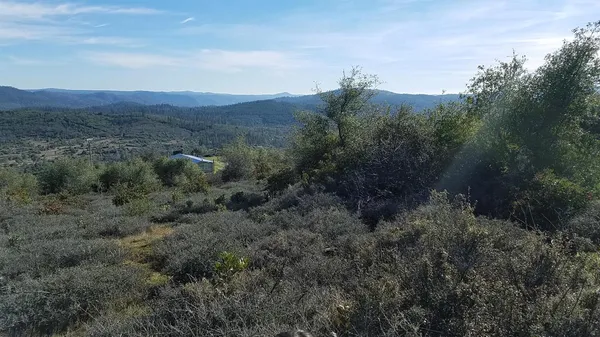 a view of a forest with mountains in the background