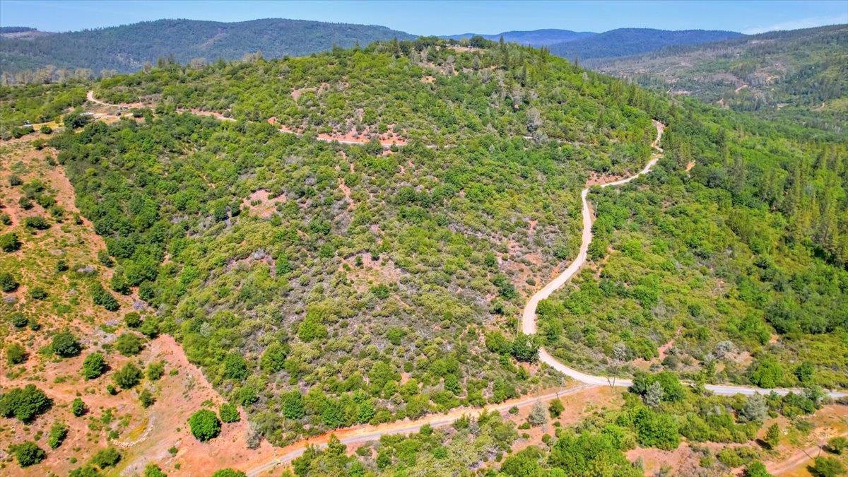 23 Clark Ranch Way Brownsville, CA 95919 - Photo 20 of 42 a view of a lush green field with lots of bushes