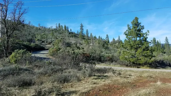 a view of a field