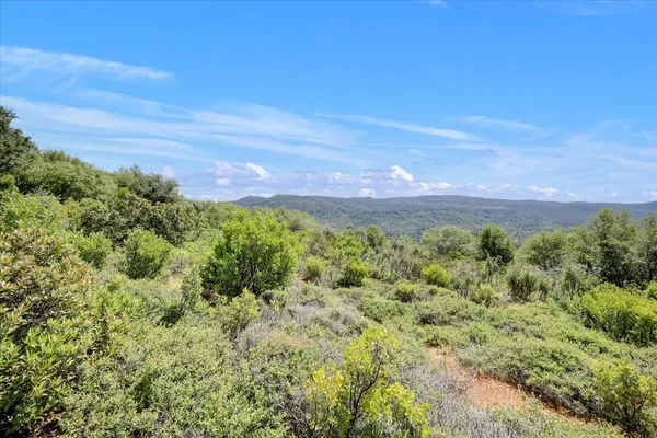 a view of a bunch of trees