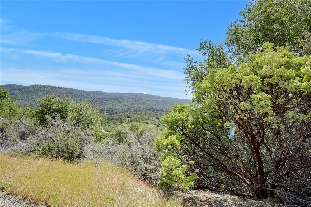 23 Clark Ranch Way Brownsville, CA 95919 - Photo 25 of 42 a view of a lake with a mountain in the background