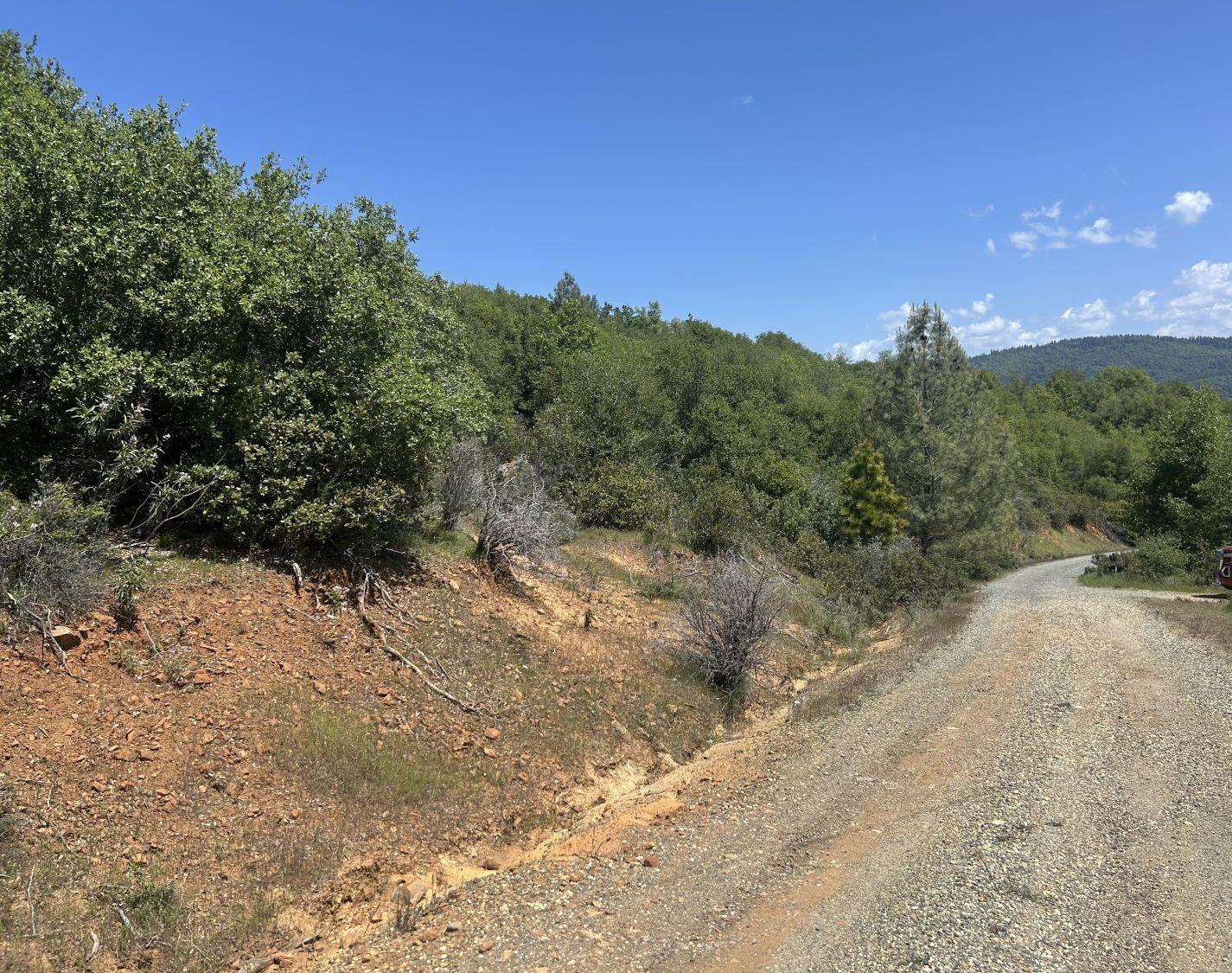 23 Clark Ranch Way Brownsville, CA 95919 - Photo 26 of 42 a view of a dry yard with trees in the background