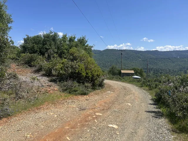 a view of a dry yard with wooden fence