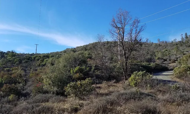a view of a yard with a tree