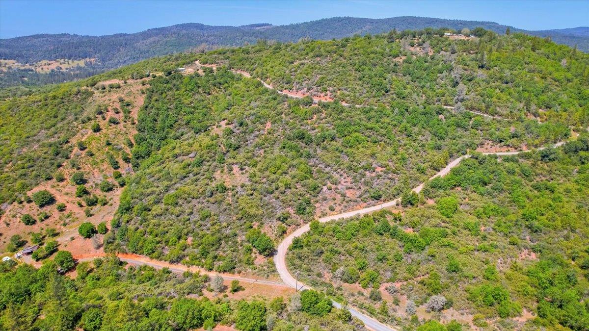 23 Clark Ranch Way Brownsville, CA 95919 - Photo 30 of 42 a view of a lush green field with a mountain in the background