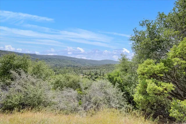 a view of a yard with a street