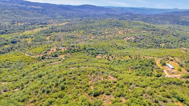 a view of a lush green field with a mountain in the background