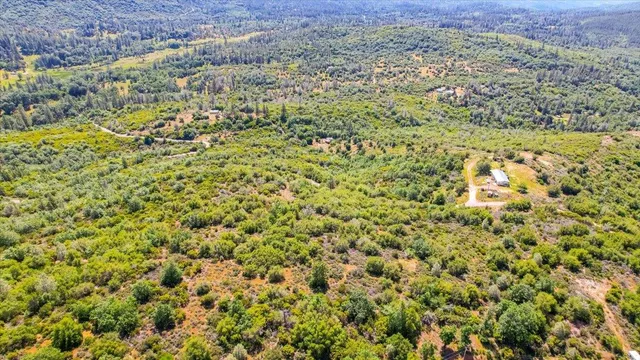 a view of a yard with an outdoor space