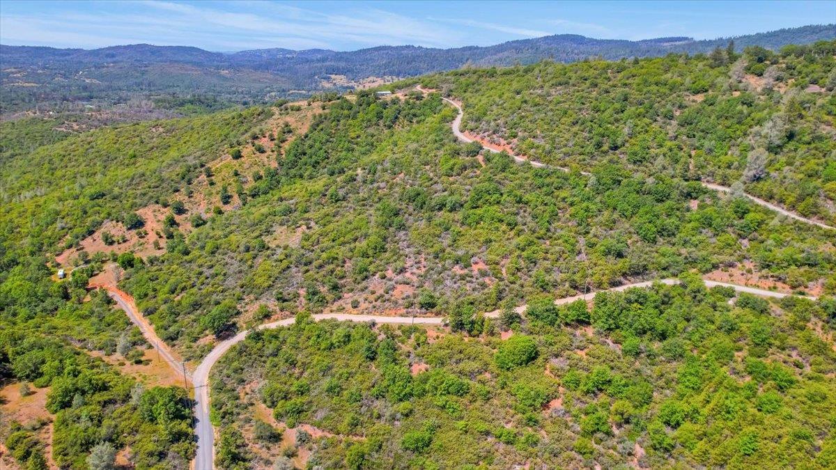 23 Clark Ranch Way Brownsville, CA 95919 - Photo 33 of 42 a view of a lush green field with a mountain in the background